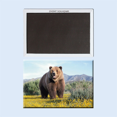 卡通俄罗斯 熊 创意磁性冰箱贴  磁贴 家居磁铁22306个性创意