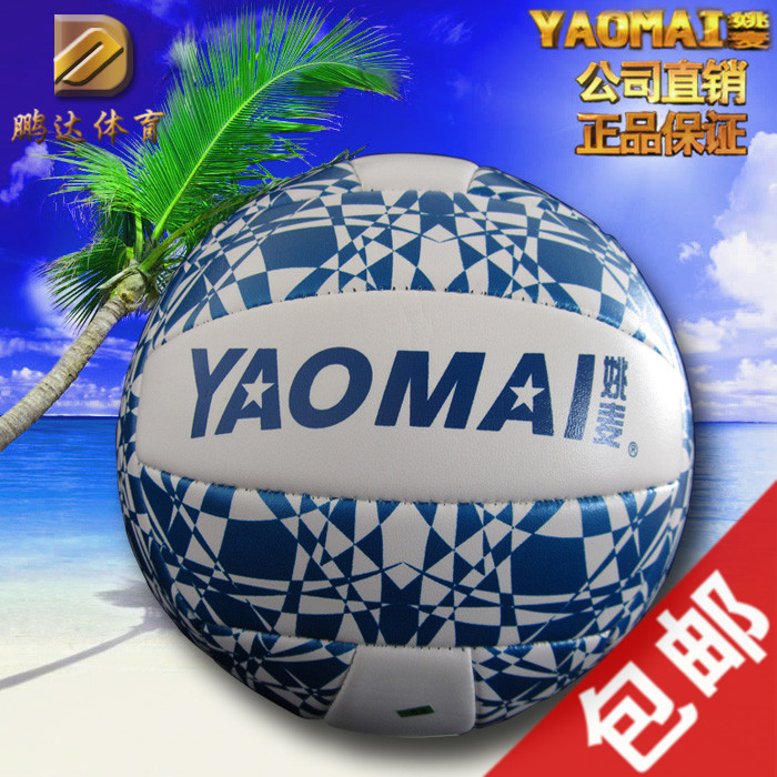 Ballon de volley - Ref 2011751 Image 1