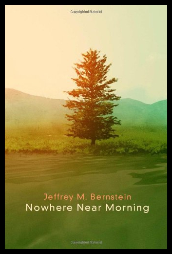 【预售】nowhere near morning