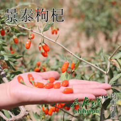 景泰枸杞子头茬新货 纯天然农户家直接收购不染色不硫熏250g