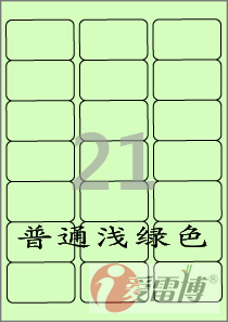 韩国爱雷博A4/A4标签纸/彩色标签纸/浅绿色标签CL237G-100张