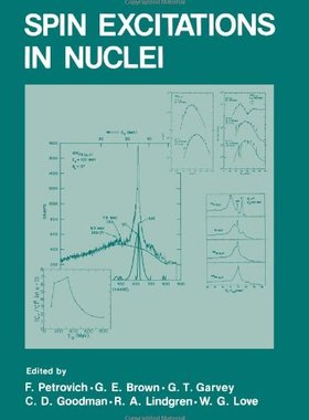 【预售】Spin Excitations in Nuclei