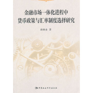 金融市场一体化进程中货币政策与汇率制度选择研究