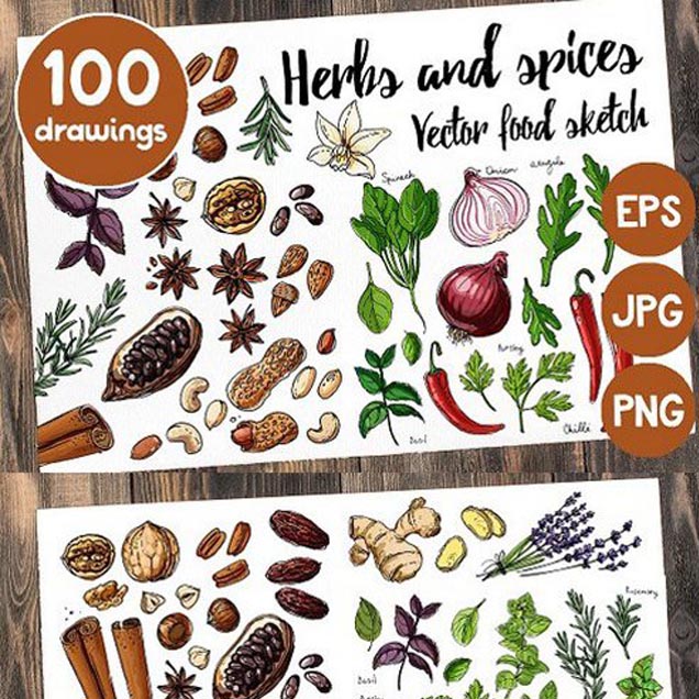 A0875矢量水彩香草植物调料八角洋葱紫苏辣椒生姜花生 AI设计素材