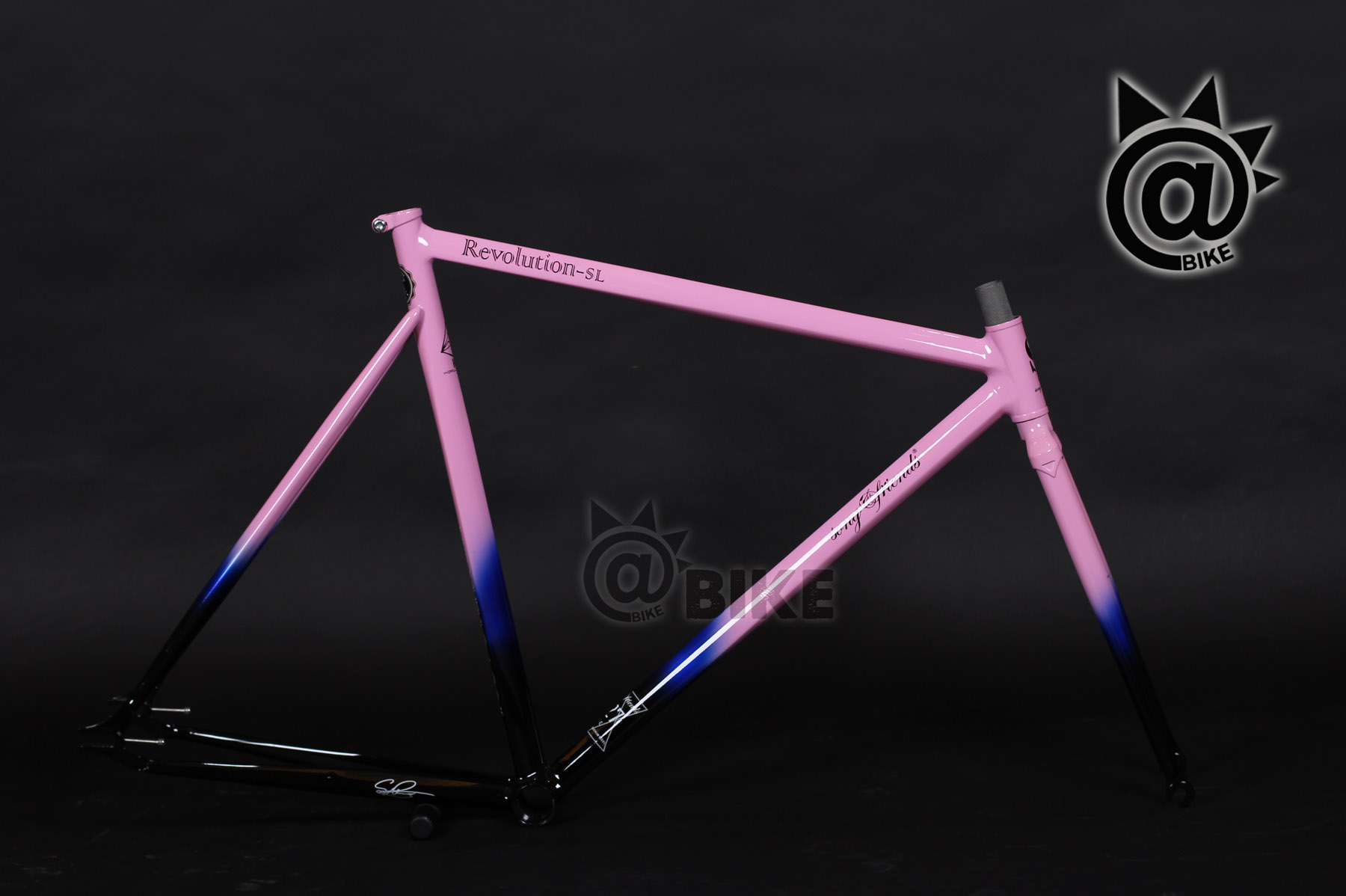 @BIKE FIXED GEAR SF song&friends 革命SL 樱花绚漫 限量版 车架