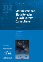 【预订】Star Clusters and Black Holes in Gal...