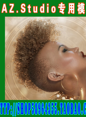 daz3d studio模型 Genesis Genesis 2 Genesis 3特种发型(3M-192)