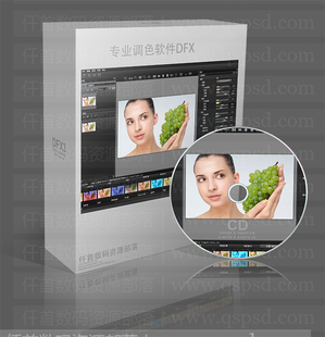 影楼后期一键调色软件Dfx中文版PhotoShop调色滤镜插件图片处理