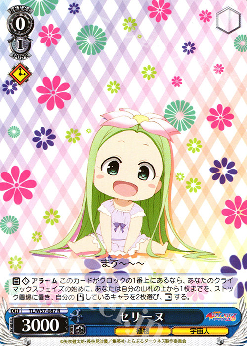 WS 黑白双翼 卡牌 TOLOVE セリーヌ R