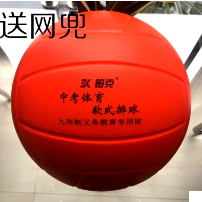 Ballon de volley - Ref 2013093 Image 1