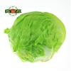 西生菜新鮮沙拉蔬菜滿138順豐包郵漢堡生菜球生菜麥果蘇精品菜