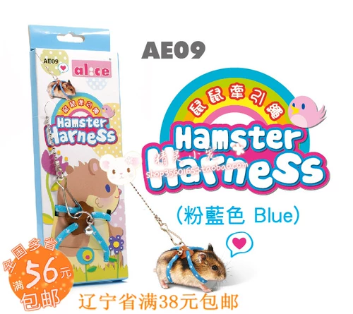 Алиса Эйсис Тропительная веревка/веревка мыши/белка меда -янчики 鼯 Шаблон Xiong Tsai Tist AE09