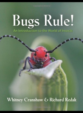 【预售】Bugs Rule!: An Introduction to the World of Insec