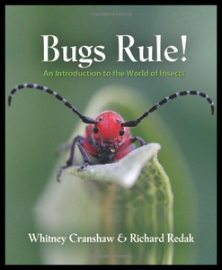 【预售】Bugs Rule!: An Introduction to the World of Insec