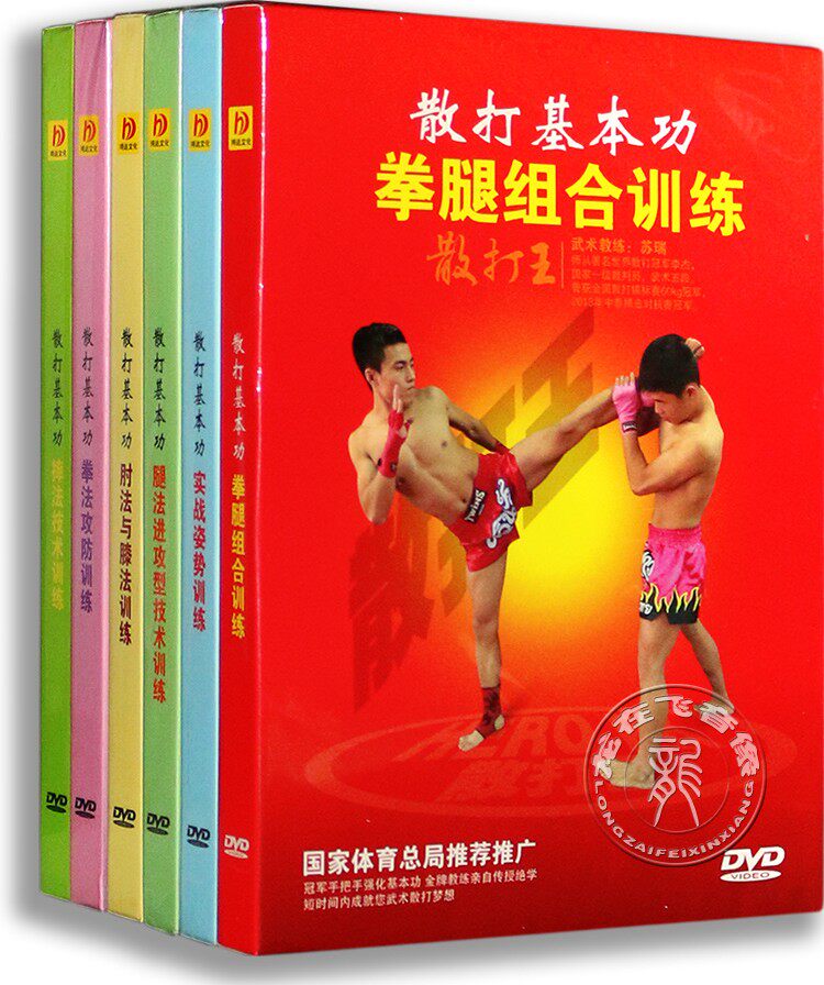 正版武术教学 散打基本功全套6DVD 实战训练教学视频光盘散打王