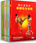实战训练教学视频光盘散打王 散打基本功全套6DVD 正版 武术教学