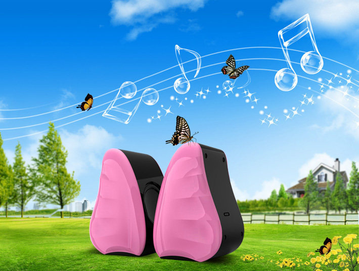 浪琴谷L815彩蝶 2.0迷你音箱 台式笔记本个性音响USB低音炮小音箱