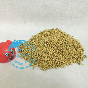 INDIAN FOOD 印度 香菜子香菜籽 芫荽籽 coriander seeds 500G克