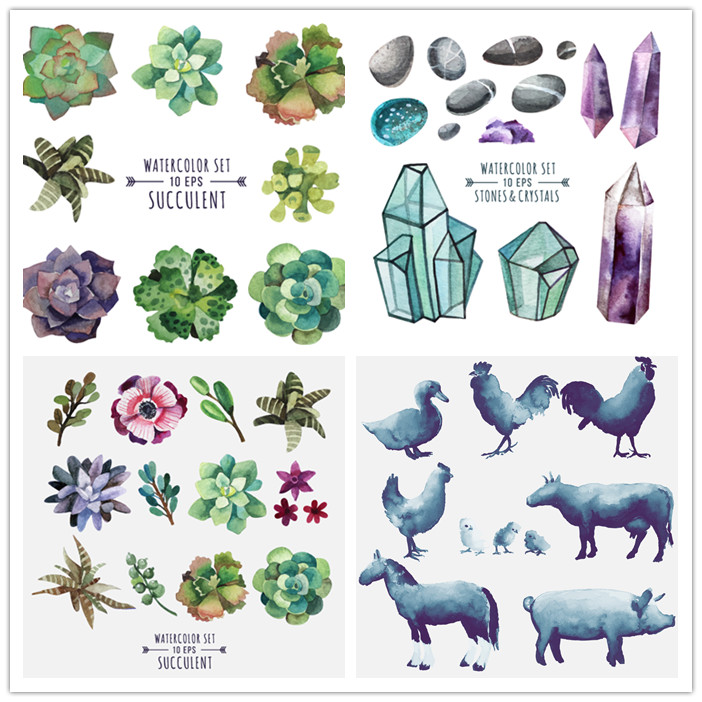 A1199矢量唯美水彩多肉植物水晶家禽图案 AI设计素材
