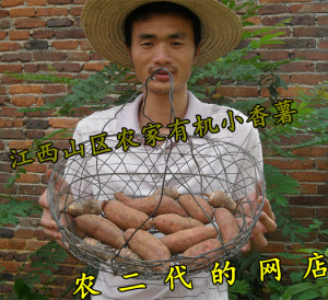 红薯新鲜沙地生红心地瓜生番薯农家小香薯烤板栗薯福建六鳌红蜜薯