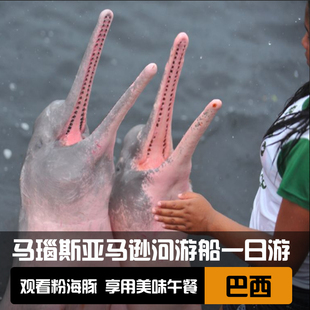 巴西 马瑙斯亚马逊河游船一日游(2人起订/小团队/亲近粉色河豚)
