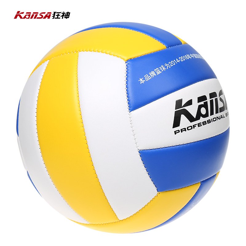 Ballon de volley - Ref 2016776 Image 1