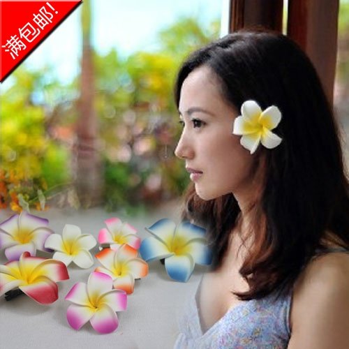 Accessoire cheveux en autre - Ref 1205632 Image 1