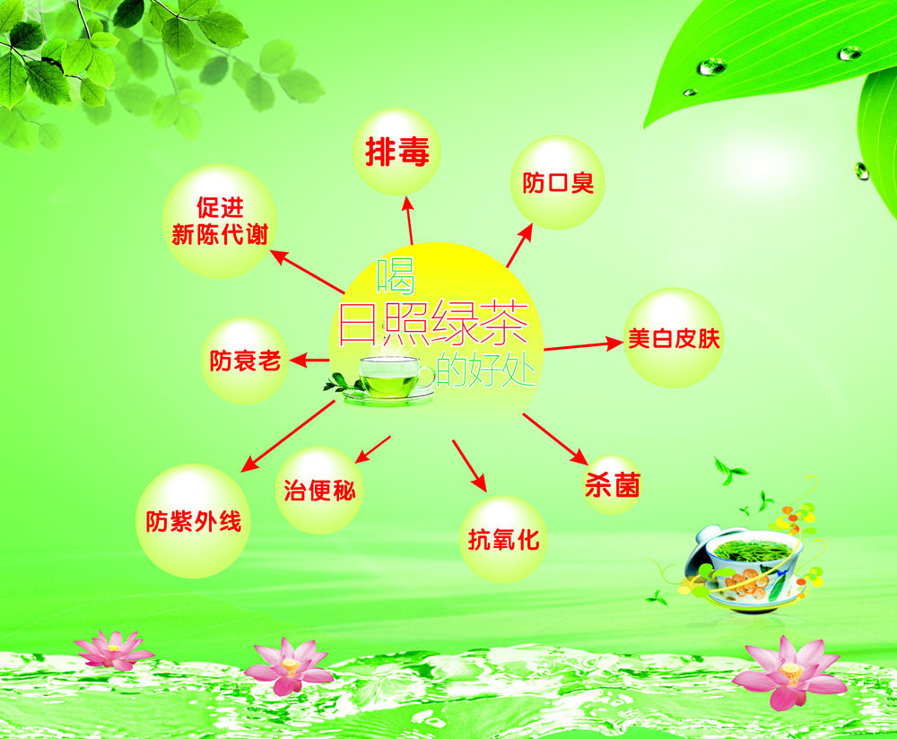 749海报印制展板写真喷绘260喝绿茶的功效好处展板