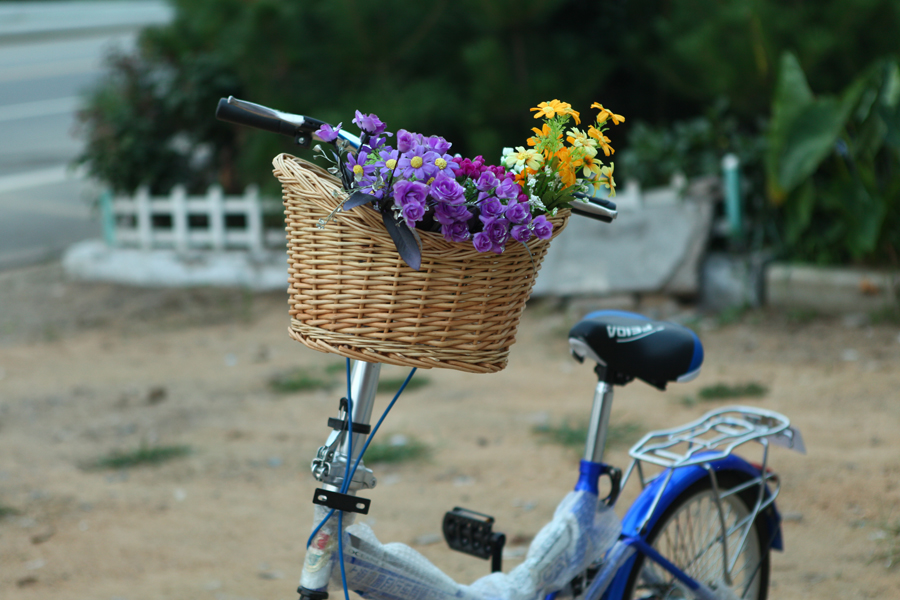Panier pour vélo en vigne - Ref 2257187 Image 1