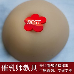 高级医学仿真女性乳房义乳假乳催乳师培训教具哺乳教学纯硅胶模型