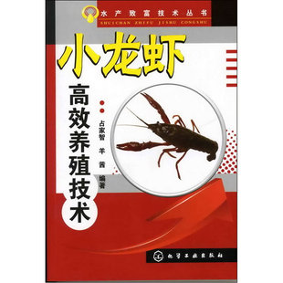 水产致富技术丛书 占家智 正版 当当网 小龙虾高效养殖技术 社 书籍 化学工业出版