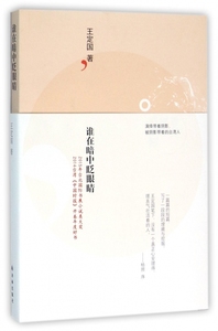 谁在暗中眨眼睛 王定国 著 正版书籍小说畅销书   博库网