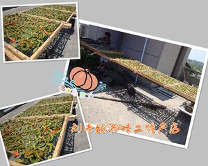 湖南邵阳特产纯手工农家自制白辣椒干干白辣椒盐辣椒干辣椒青辣椒