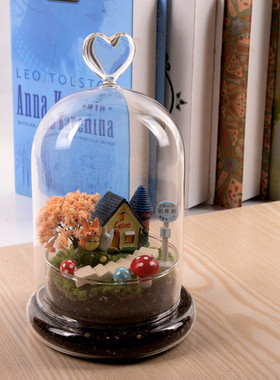 创意爱心透明玻璃微景观花瓶礼物