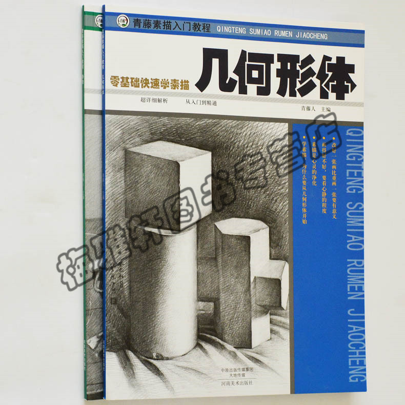 正版 青藤素描入门教程 静物几何形体 青藤人 铅笔临摹范本套装几何体组合石膏少儿童小学生初学入门自学零基础册绘画教程书籍