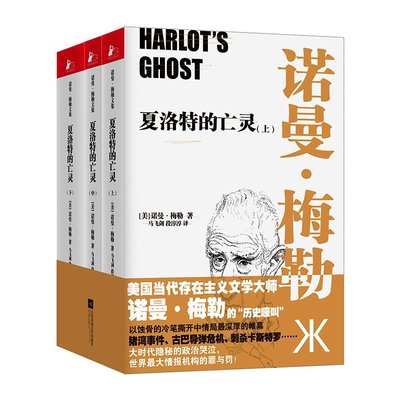 夏洛特的亡灵-(全三册) 书店 诺曼梅勒马飞剑段淳淳 社会小说书籍 书 畅想畅销书