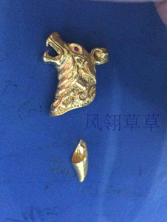 黄金足金牙套狼牙包金牙套定制纯金狗牙虎牙狼牙动物牙齿防裂金套