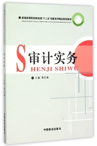 审计实务(新编高等院校财经类十二五创新系列精品规划教材)