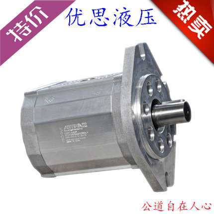 意大利螺旋低噪音伺服转子泵