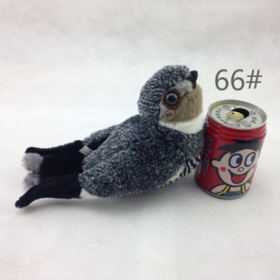 教学用品 仿真动物 小鸟鹁鸠啄木鸟蓝点颏 白腹鱼狗 翠鸟毛绒玩具