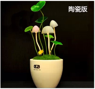 Lumière vélo - Ref 2403880 Image 37