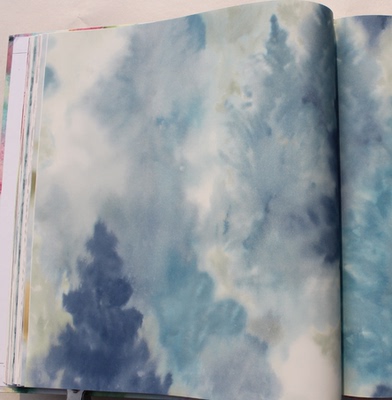 美国进口纯纸复古怀旧手绘水墨客厅墙纸AH41200 AH41202 AH41206