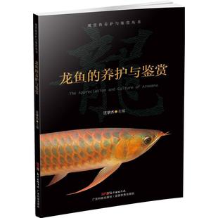 家庭养殖 观赏鱼养护与鉴赏丛书 金龙鱼 正版 书籍 养护与鉴赏 银龙鱼 龙鱼