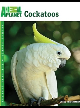【预售】Cockatoos