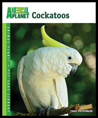 【预售】Cockatoos