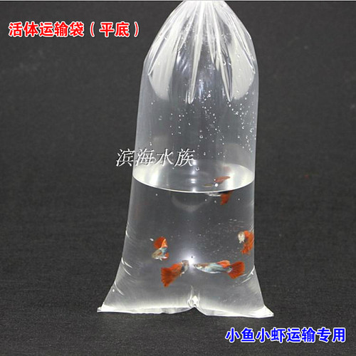 运输袋活体专用塑料观赏鱼水族
