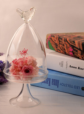 创意鸟形玻璃景观罩/保鲜花罩子/蛋糕罩/微景观花瓶/特色礼物