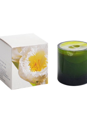 DayNa Decke美国进口天然系列 香氛蜡烛室内熏香蜡烛 包邮