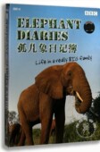 DVD碟片 孤儿象日记簿 精装 纪录片光盘 BBC正版 BBC经典 碟片