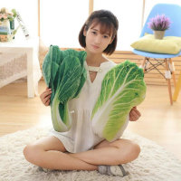 仿真大白菜毛絨玩具蔬菜抱枕靠墊